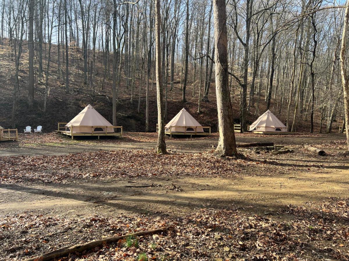 Harmony Tree Resorts Inc Nashville Exteriör bild